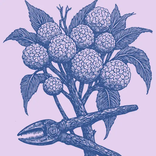 How to Grow a Flowering Apricot Tree for Beginner Gardeners