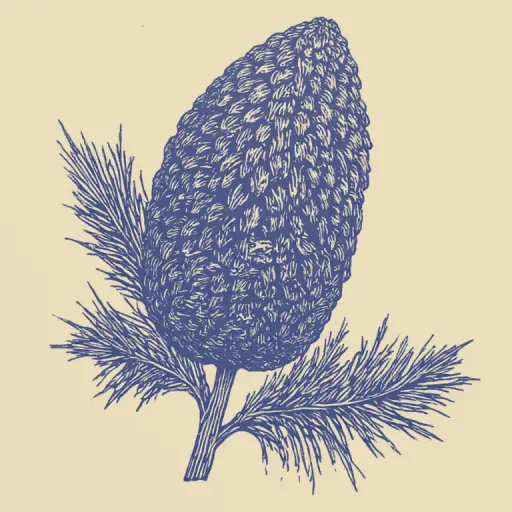 How to Quickly Open Pine Cones at Home Using Simple Methods?