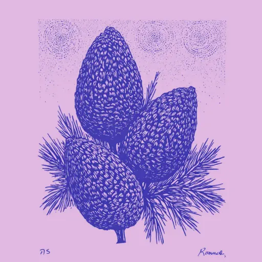 How to Dry Pine Cones at Home Quickly and Without Excess Resin?