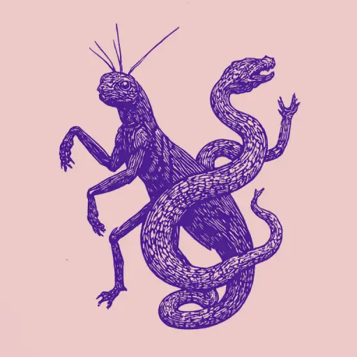 How Praying Mantis Can Defeat and Kill Snakes