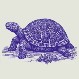 How to Tell if a Tortoise Has Truly Died