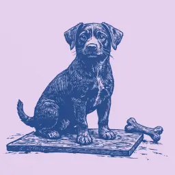 Como treinar um cachorro pequeno a usar tapete higiênico com instruções e dicas eficazes
