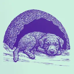 Как добиться, чтобы щенок спал спокойно ночью?