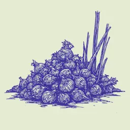 Como teñir el cabello canoso con cáscaras de cebolla en casa y obtener un tono hermoso