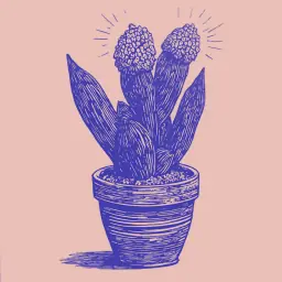How to keep a cactus in the house without harming family happiness according to folk omens?