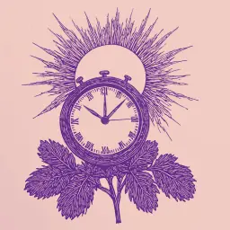 Wie man mit Sonne und Uhr den Süden bestimmt – eine einfache und klare Anleitung