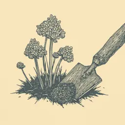 How to Combat Clover in a Lawn: Step-by-Step Weed Eradication Guide