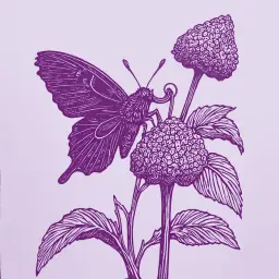 How Butterflies Collect Sweet Nectar from Flowers