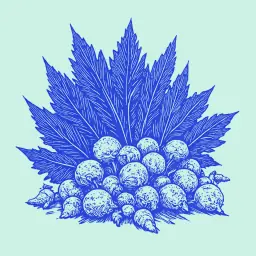 Как консервировать кислые огурцы на зиму, чтобы они оставались хрустящими?