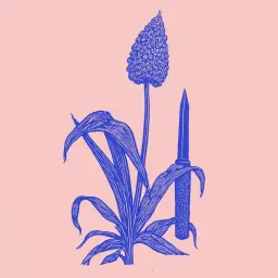 Wie man Phalaenopsis-Orchideen schnell und richtig mit einfachen Haushaltsmethoden vermehrt