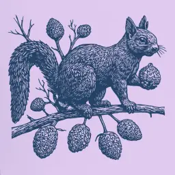 How to Find Out Why and How Squirrels Change Their Fur Coat at Different Times of the Year