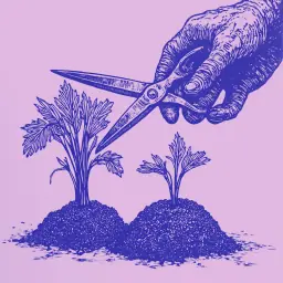 Comment éclaircir les carottes rapidement et correctement selon une simple instruction au jardin