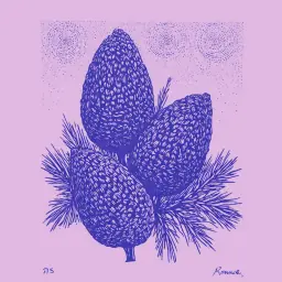 How to Dry Pine Cones at Home Quickly and Without Excess Resin?
