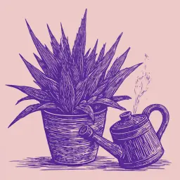 How to Water Aloe and Century Plant Step-by-Step According to the Season