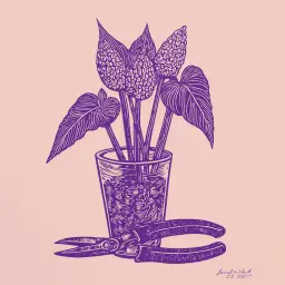 How to care for anthurium in a bouquet: everything for beginner florists