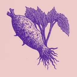 How to Grow Sweet Potato Quickly and Get a Rich Harvest?
