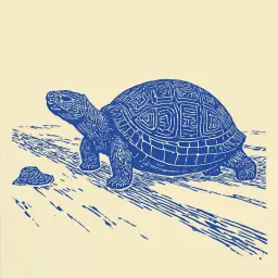 How to Understand Zeno's Paradox Why the Tortoise Beats Achilles