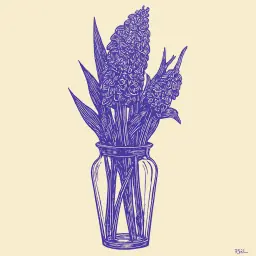 How to Grow Hyacinth from Bulb: Planting and Care Instructions