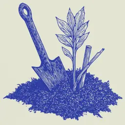 Como plantar un seto de acacia: una guia paso a paso