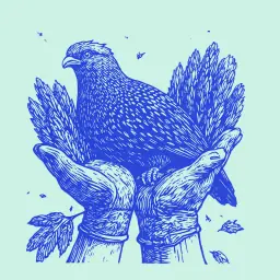 Как помочь раненому голубю: подробная инструкция по спасению и лечению птицы