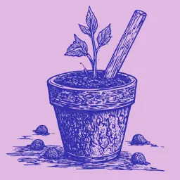 How to Grow Alstroemeria from Seeds: A Gardener's Detailed Guide