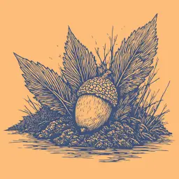How do squirrels find their hidden nuts?