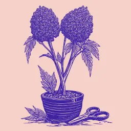 Как ухаживать за азалией на штамбе: пошаговая инструкция по формированию кроны