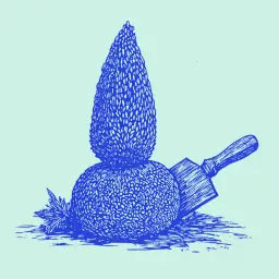Как посадить можжевельник скальный: подробная инструкция по выращиванию